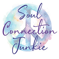 soul connection junkie